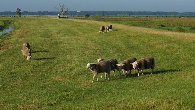 Surroundings’ t Gooi Hotel Hilversum De Witte Bergen